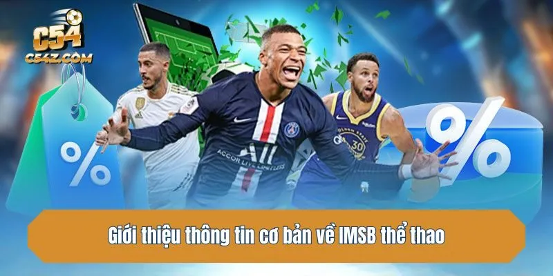 Giới thiệu thông tin cơ bản về IMSB thể thao