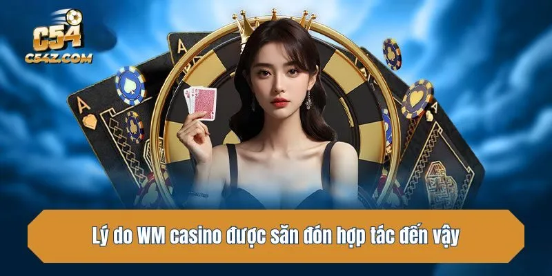 Lý do WM casino được săn đón hợp tác đến vậy